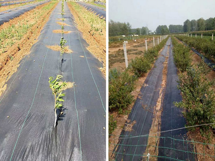 防草布使用方法