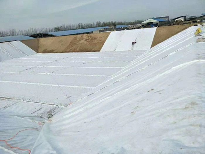 復(fù)合土工膜分類及項(xiàng)目使用